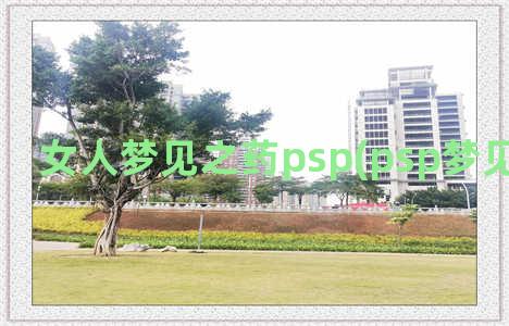 女人梦见之药psp(psp梦见之药下载)