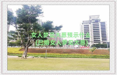 女人梦见大葱预示什么(已婚女人梦见大葱)