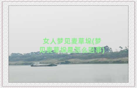 女人梦见麦草垛(梦见麦草垛是怎么回事)