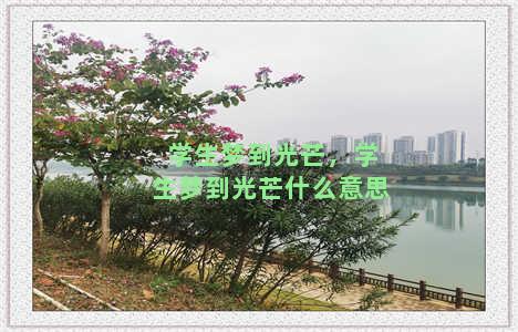 学生梦到光芒，学生梦到光芒什么意思