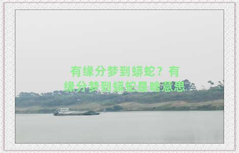 有缘分梦到蟒蛇？有缘分梦到蟒蛇是啥意思