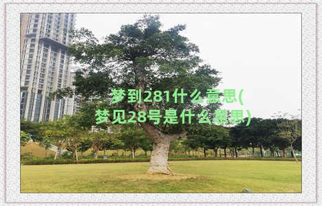 梦到281什么意思(梦见28号是什么意思)