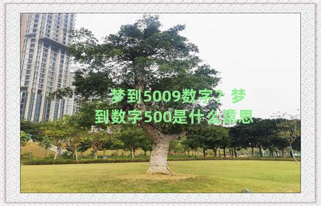 梦到5009数字？梦到数字500是什么意思