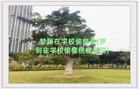 梦到在学校偷樱桃(梦到在学校偷樱桃被发现)