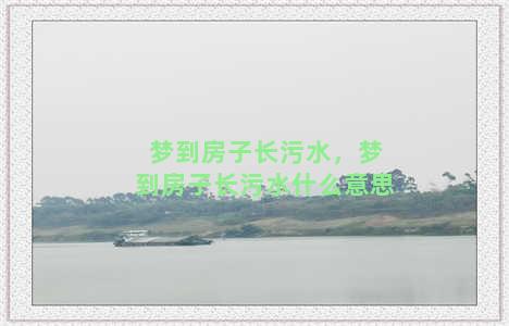 梦到房子长污水，梦到房子长污水什么意思