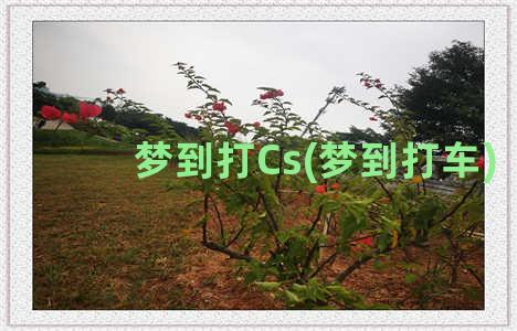 梦到打Cs(梦到打车)