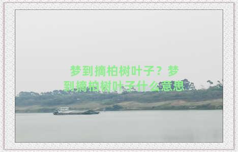 梦到摘柏树叶子？梦到摘柏树叶子什么意思