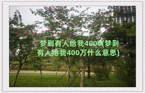 梦到有人给我4000(梦到有人给我400万什么意思)