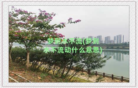 梦到水不流(梦到水不流动什么意思)