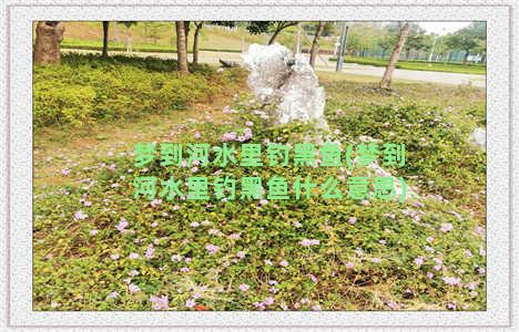 梦到河水里钓黑鱼(梦到河水里钓黑鱼什么意思)