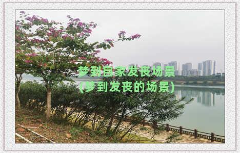 梦到自家发丧场景(梦到发丧的场景)