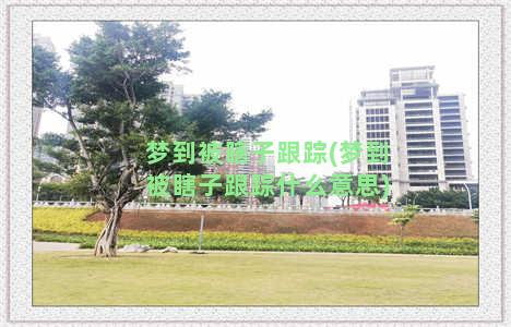 梦到被瞎子跟踪(梦到被瞎子跟踪什么意思)