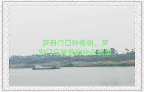 梦到门口种杨树，梦到门口种杨树什么意思