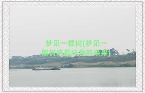 梦见一棵树(梦见一棵树结着绿色的果果)