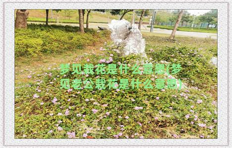 梦见栽花是什么意思(梦见老公栽花是什么意思)