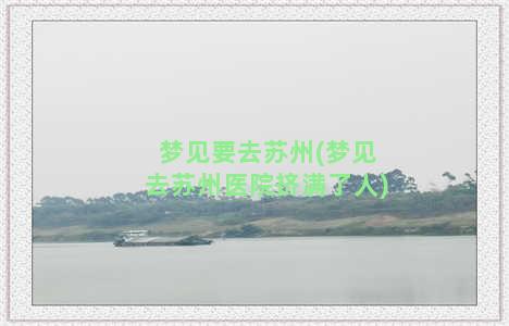 梦见要去苏州(梦见去苏州医院挤满了人)